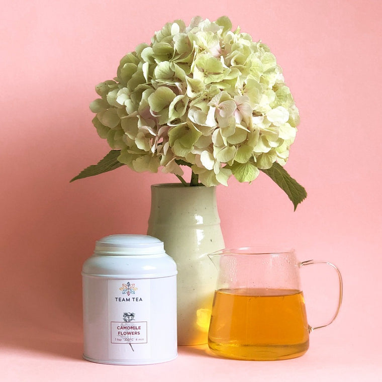 A white caddy (metal tin) of Camomile Flowers next to a small glass teapot of brewed tea. There is a dried hydrangea in a vase in the behind and the background is pastel pink.