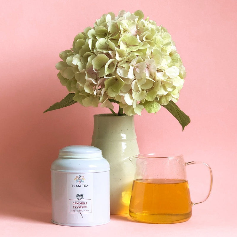 A white caddy (metal tin) of Camomile Flowers next to a small glass teapot of brewed tea. There is a dried hydrangea in a vase in the behind and the background is pastel pink.