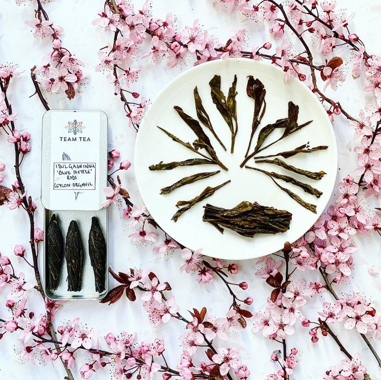 Idulgashinna 'Blue Nettle' Rods Ceylon Organic