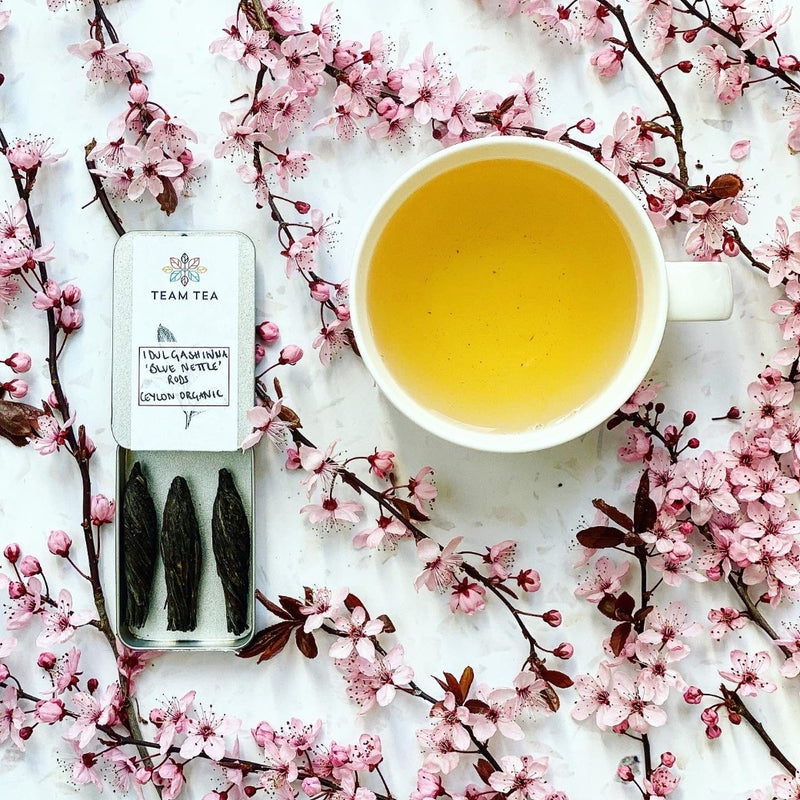 A white background with wild plum flowers and a cup of tea as well as an open slide tin containing three tea rods