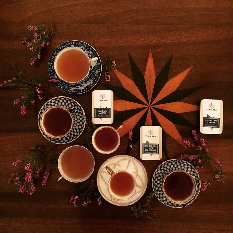 A cup of brewed black tea sits next to a plate of loose leaf teas, showing the dry leaf and then the brewed wet leaf.
