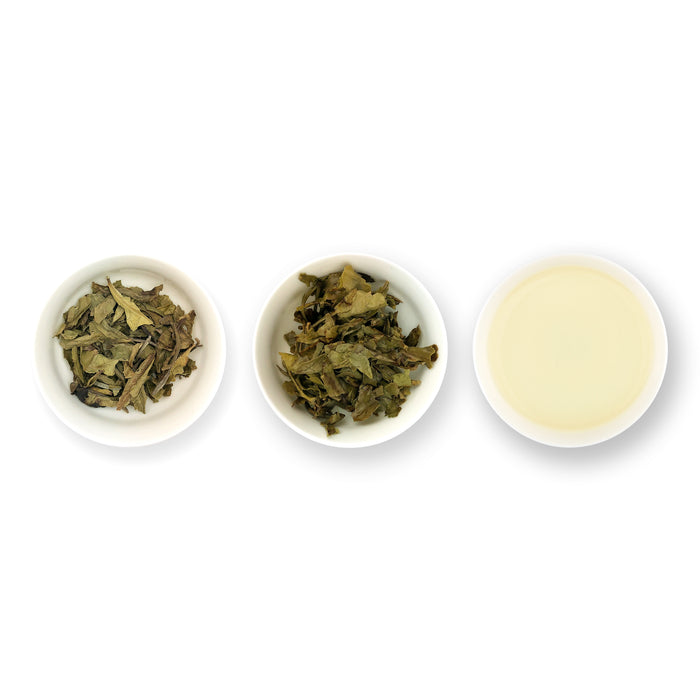 Three white bowls containing dried tea leaves, with the right bowl showing the leaves after brewing, against a white background.
