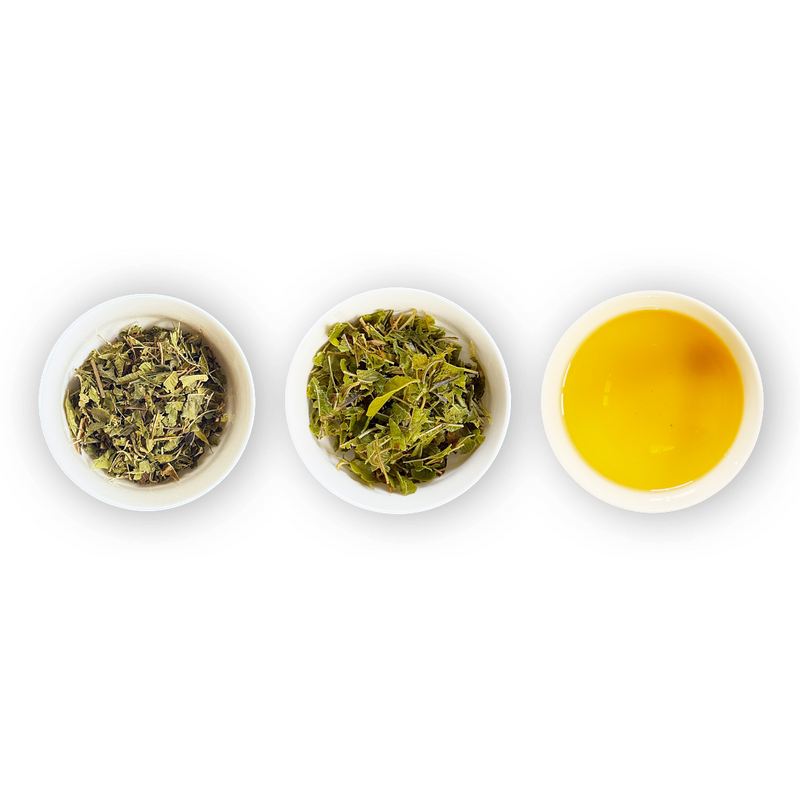 Three small white ramekins arranged horizontally on a white background: the left bowl contains dried Lemon Verbena leaves, the center bowl contains wet Lemon Verbena leaves, and the right bowl contains brewed Lemon Verbena liquid.