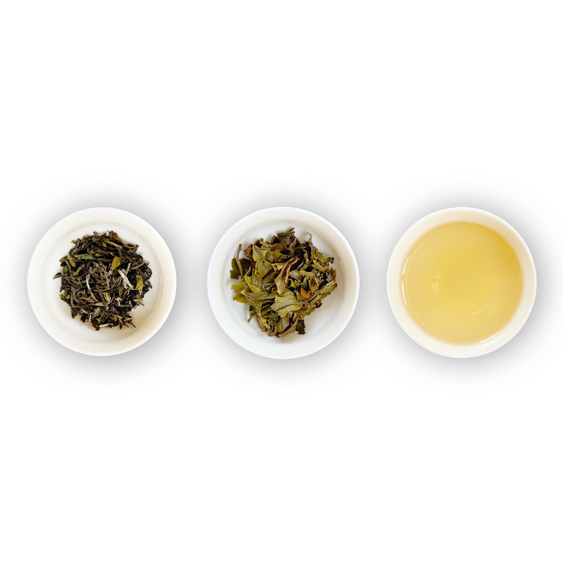 Three white bowls arranged in a row with the contents of Singell 1st Flush 2026 Darjeeling tea leaves, brewed tea, and tea liquor in them, on a white background.