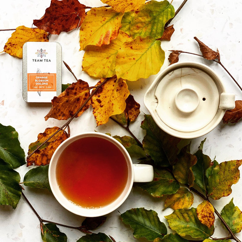 Autumn leaves against a white background with a cup of tea and a small porcelain teapot and tin of Orange Blossom Oolong